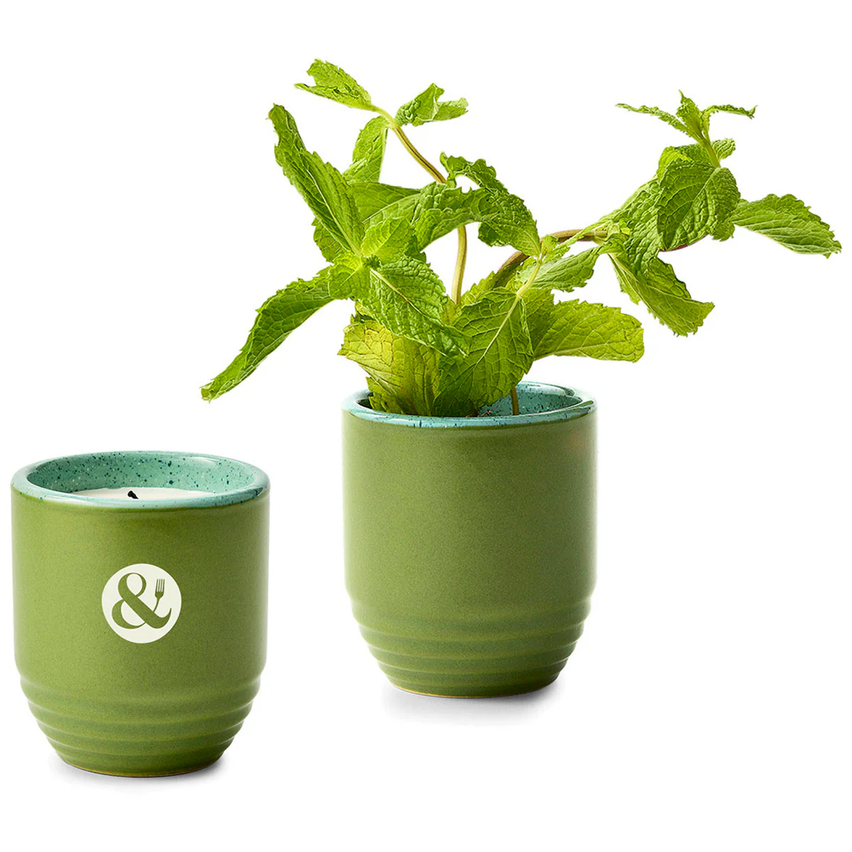 Modern Sprout In The Weeds/Mint Garden Vibes Candle/Planter - Image 2