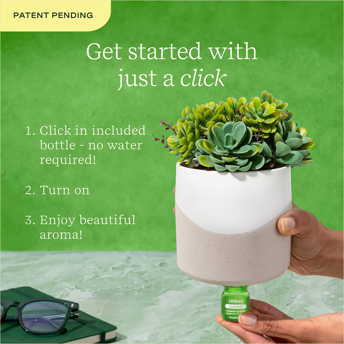 Lifelines Two Toned Succulent Plant Diffuser - Image 3