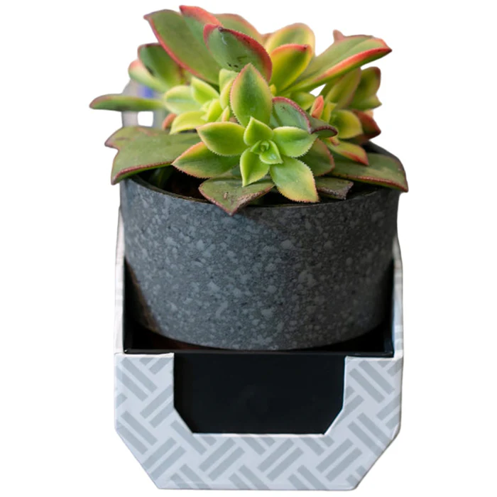 Rupt Black Boomz 5W Portable Speaker - Image 2