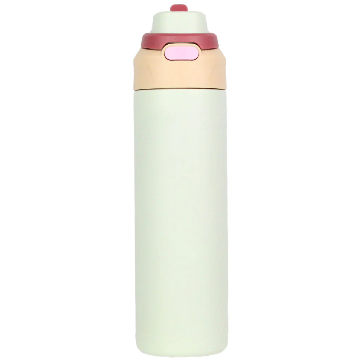 Oya Mint Green 24 oz Stainless Steel Bottle with 2 in 1 lid