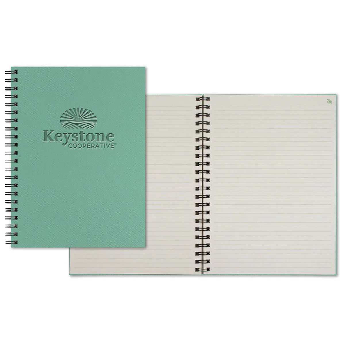 ApPeel WireO Aqua Ortisei Grande XL Apple Lined Pg Journal